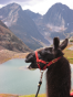 Llama Trekking